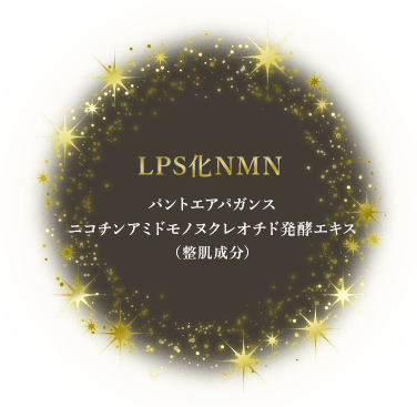 LSP_NMN_1_03