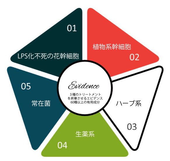 リアボーテ　健美草3種類セット　一種類10個✖︎3