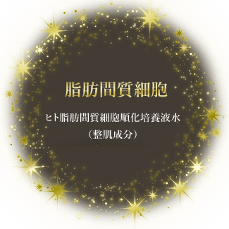 shiboukansaibousshitu_relabeaute_03